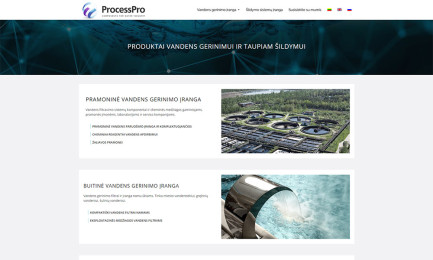 Interneto svetainė ProcessPro